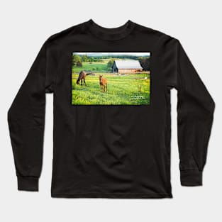 Kentucky Evening Long Sleeve T-Shirt